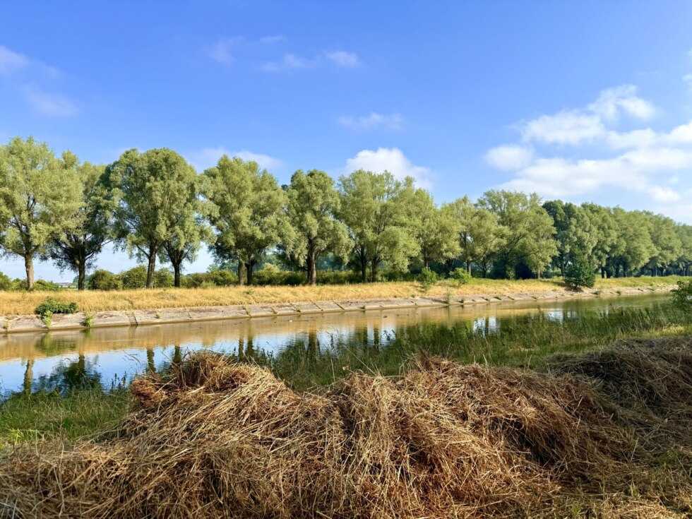 2026 07 14 094154 Beveren Leie Jan Vermeulen