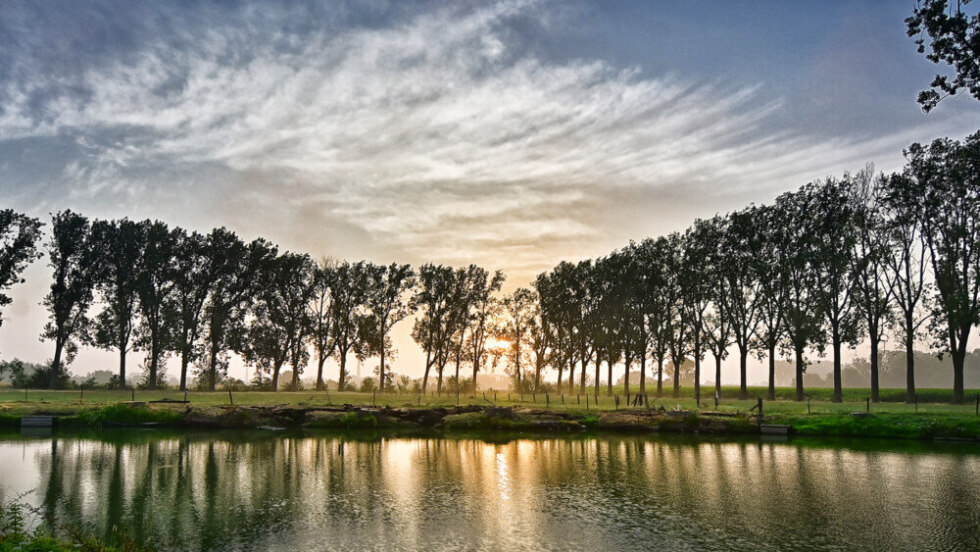 2026 07 17 111414 Outrijve Jan Demets