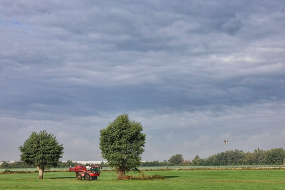 2026 08 28 092537 Bissegem Kris Catteeuw