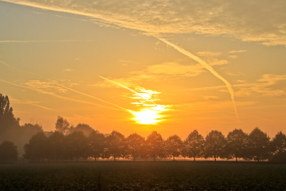 2026 09 27 090415 Meulebeke Luc Lambert