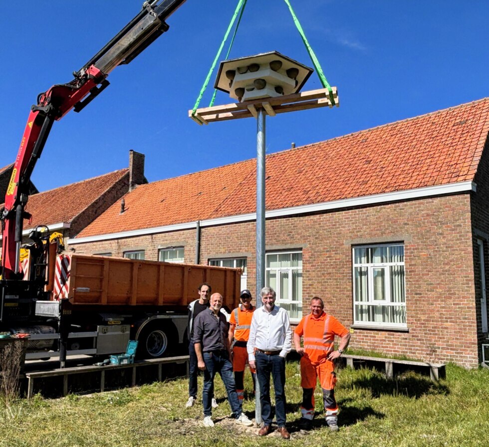 Zwaluwhotel Vlissegem