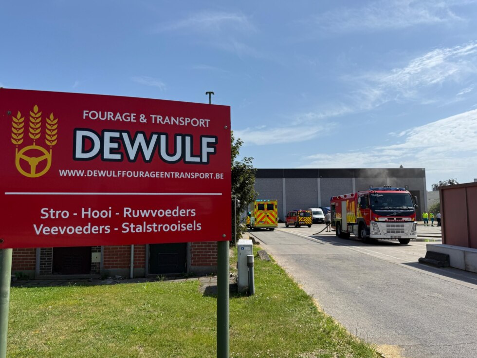 Brand Dewulf Ieper