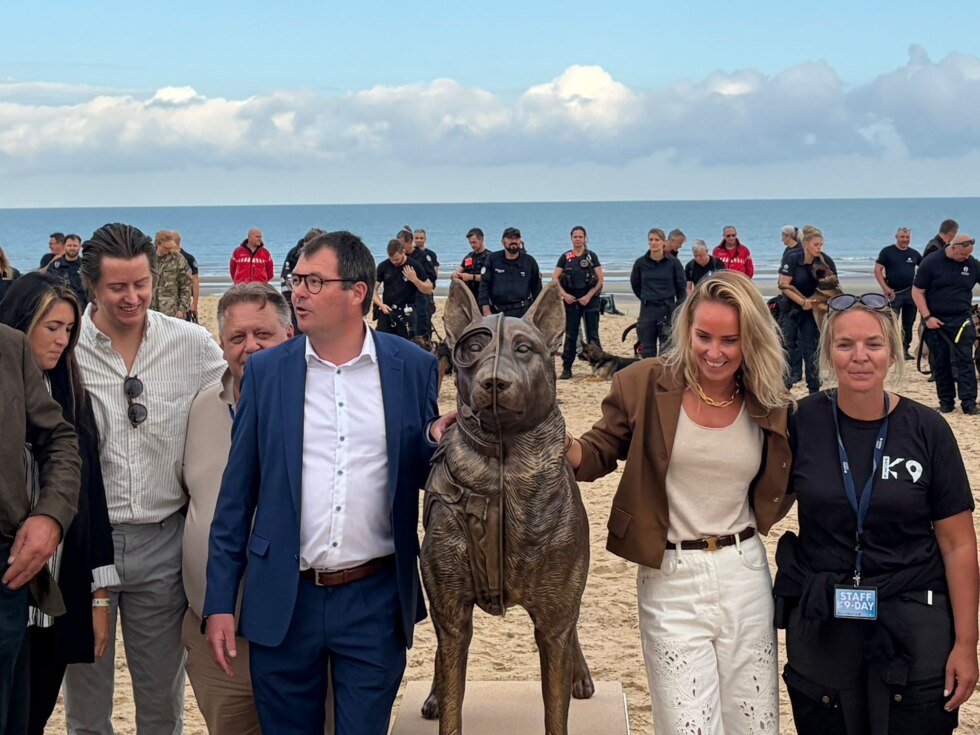 K9 day 2