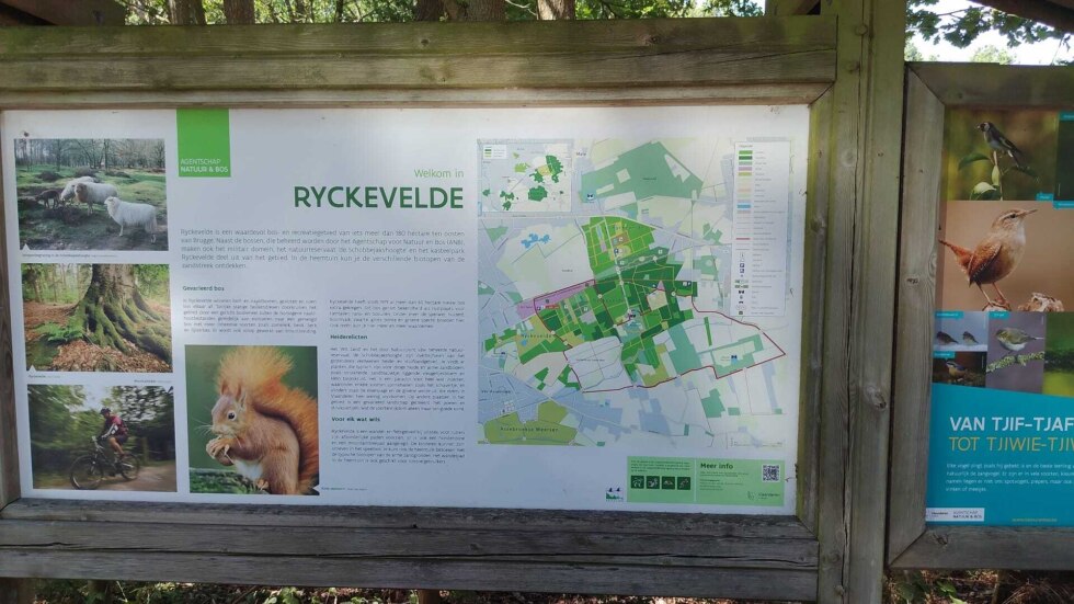 Ryckevelde