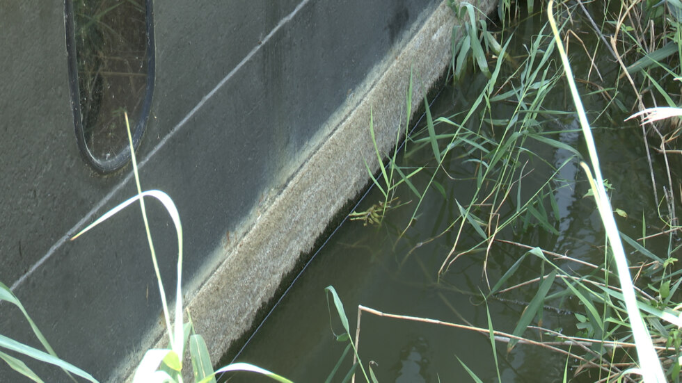 Web1