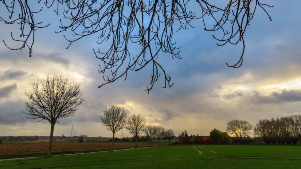 Weer
