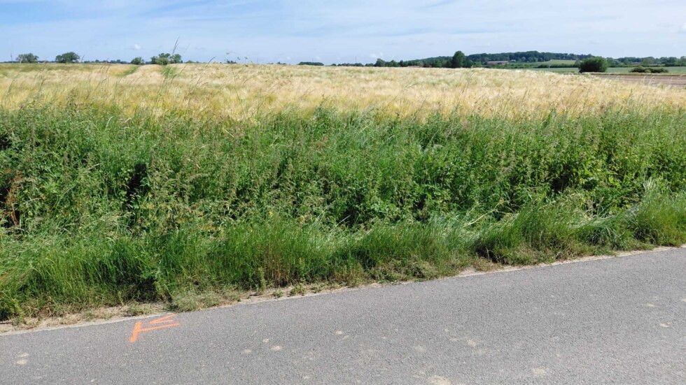 Man (55) dood aangetroffen met scooter in diepe gracht in Rollegem: "Wetsdokter moet meer duidelijkheid geven over doodsoorzaak"
