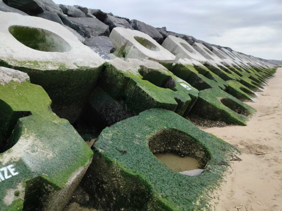 Veertig speciale blokken in Blankenberge moeten Noordzee helpen herstellen
