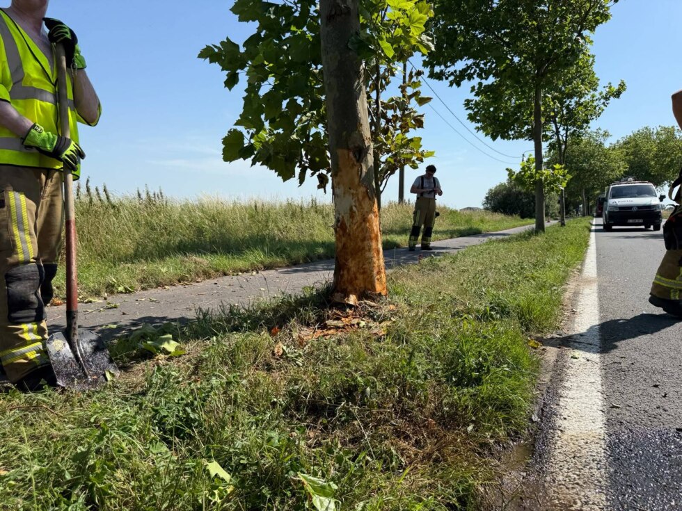 Vrouw (58) zwaargewond na klap tegen boom in Heuvelland: "Geen verkeer mogelijk in Kemmelstraat"