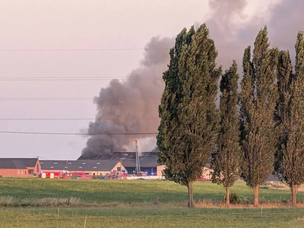 Uitslaande loodsbrand in Wervik onder controle: "De runderen werden onmiddellijk in veiligheid gebracht"