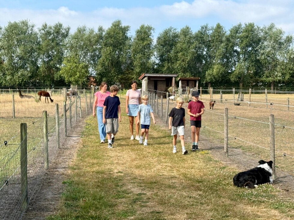 Zomerkamp brengt jongeren met Gilles de la Tourette samen: "Hier kunnen we onszelf zijn"