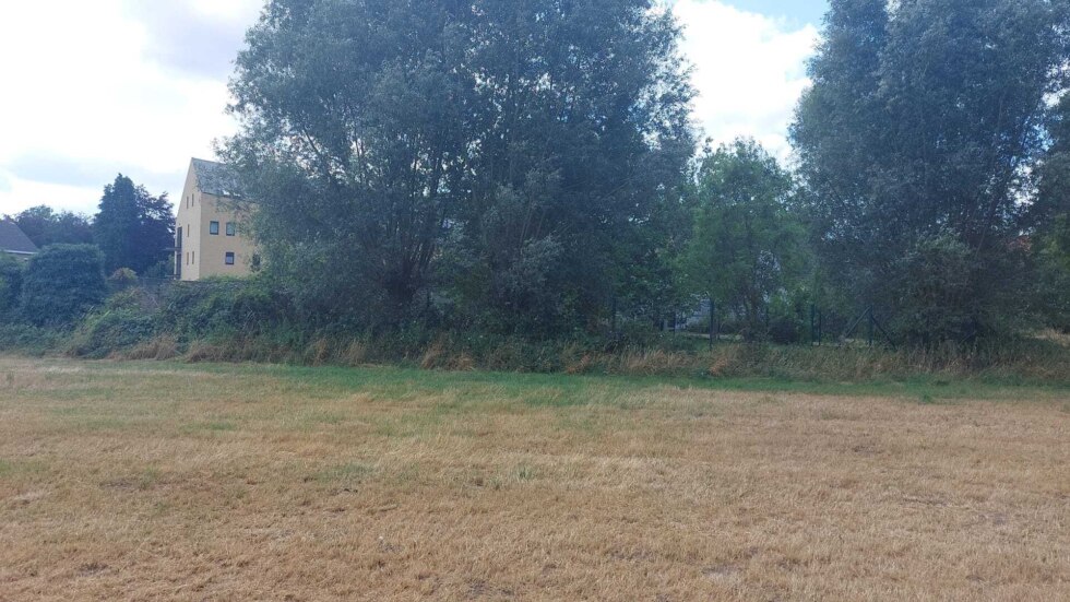 Buurt verzet zich tegen appartementsproject naast natuurgebied in Assebroek
