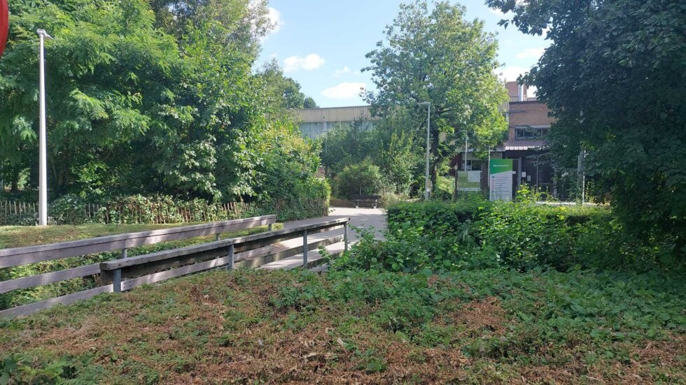 Levenloos lichaam van man (36) gevonden in gracht bij sportdomein De Krekel in Izegem