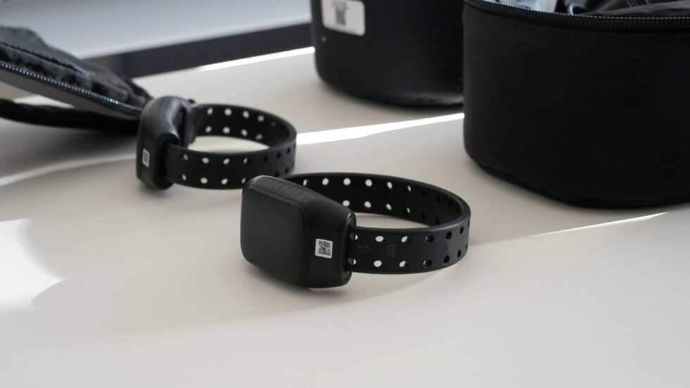 Enkelband