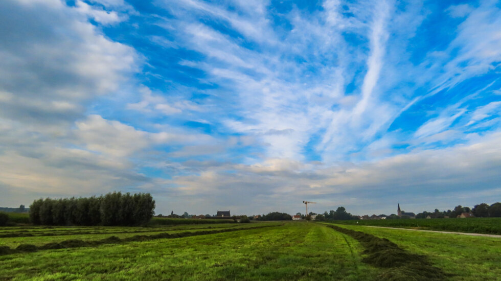 Willy Huys Deerlijk 20240830 weer landbouw