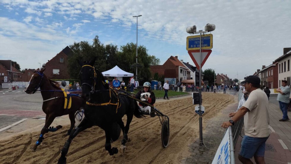 Winkel koerse 2