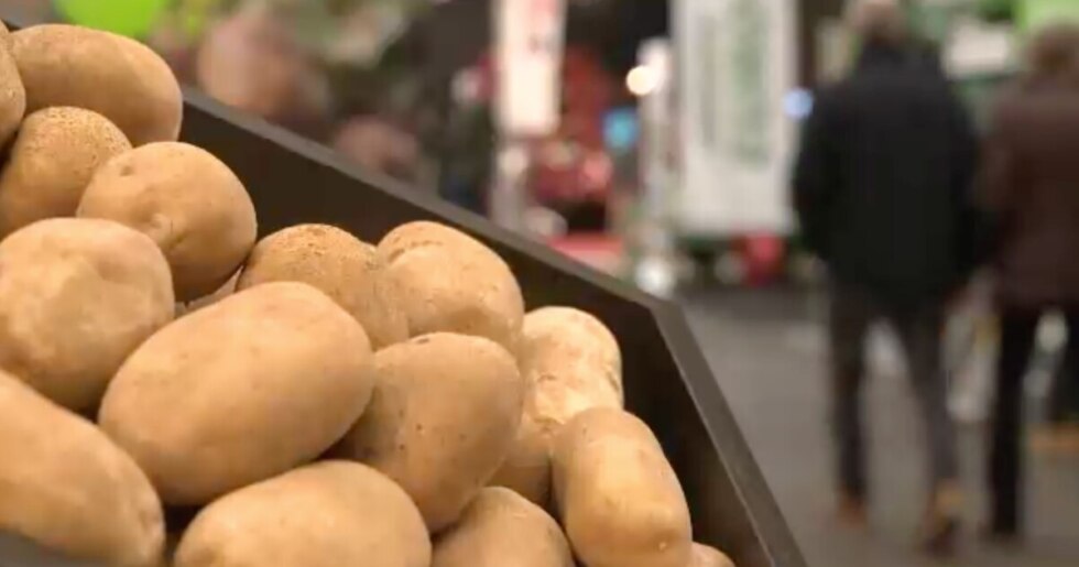 Aardappelen