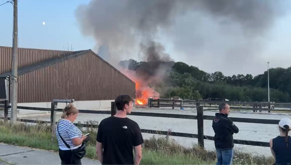 Brandpaardenpension4