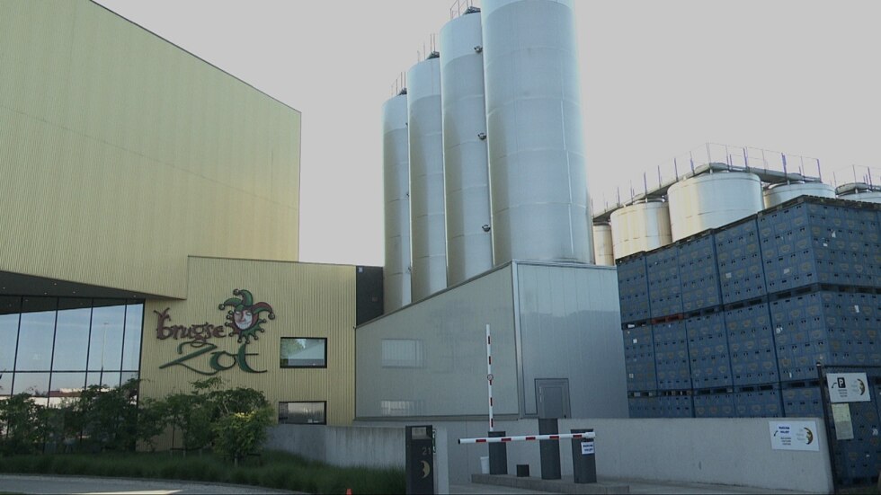 Brugse zot 3