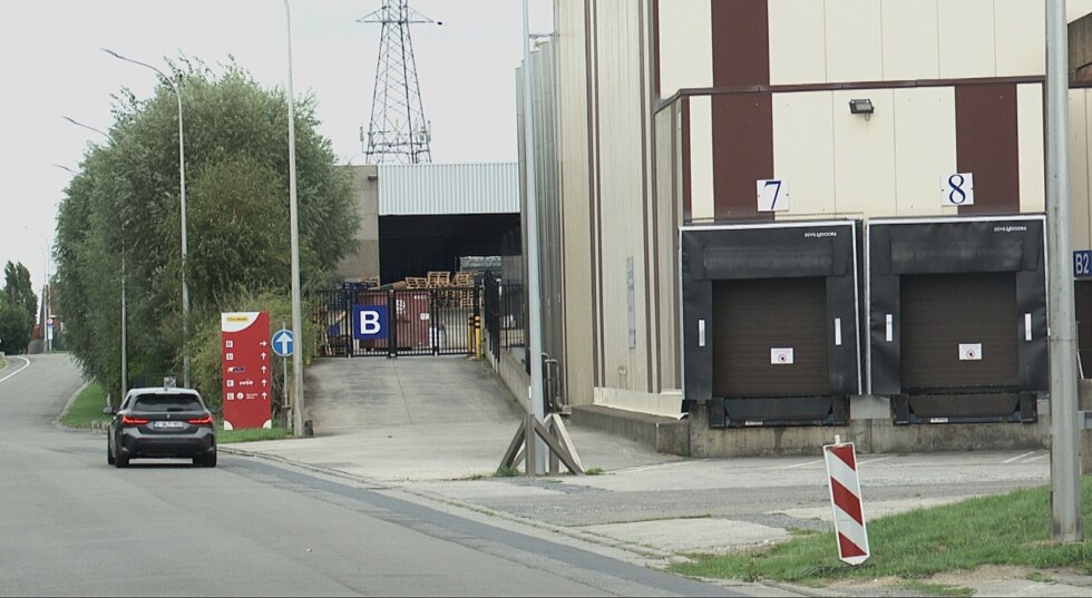 Clarebout moeskroen 2