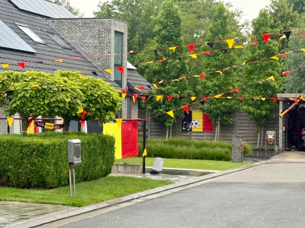 Duivelsgekte beveren roeselare 3