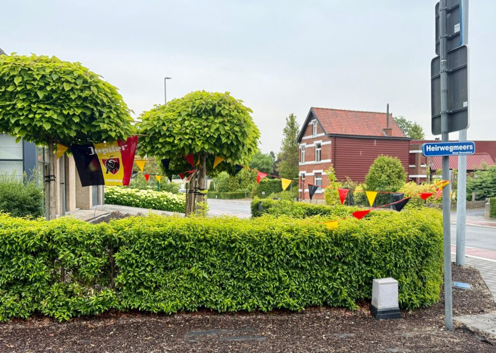 Duivelsgekte beveren roeselare