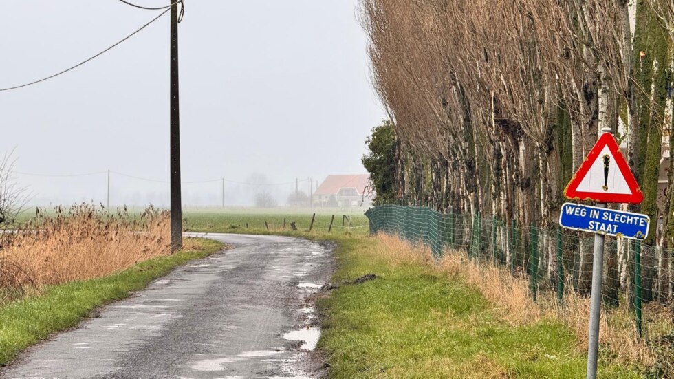 Kippenkwekerij diksmuide
