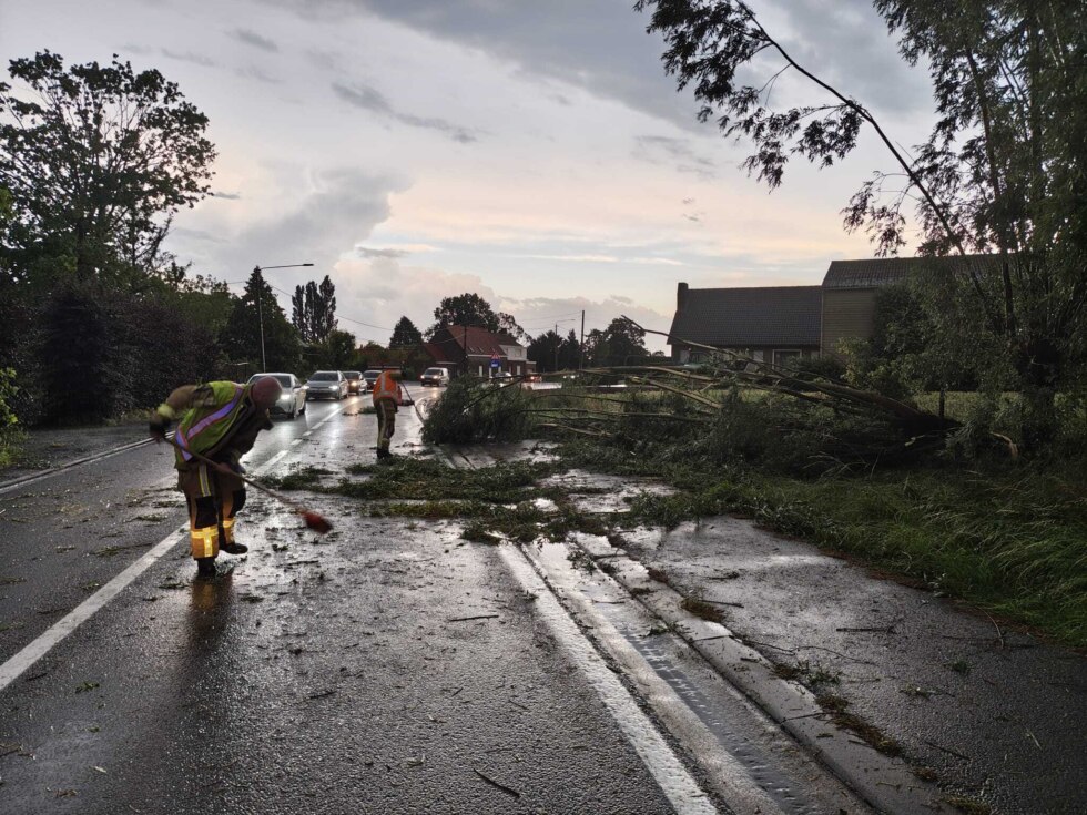 Onweer moen brandweer boom