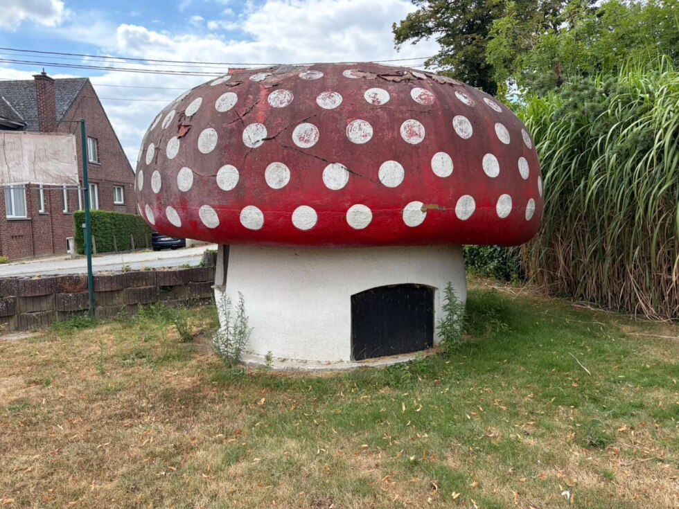Paddenstoel2