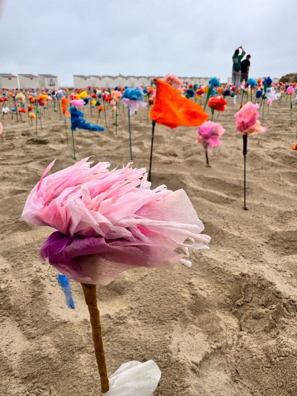 Strandbloemen 2