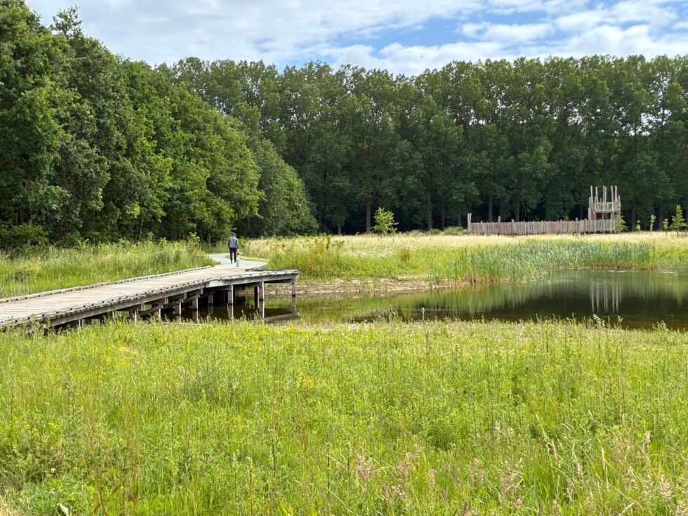 Vlonderweide2