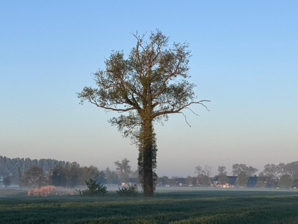 Weer 24 april 2