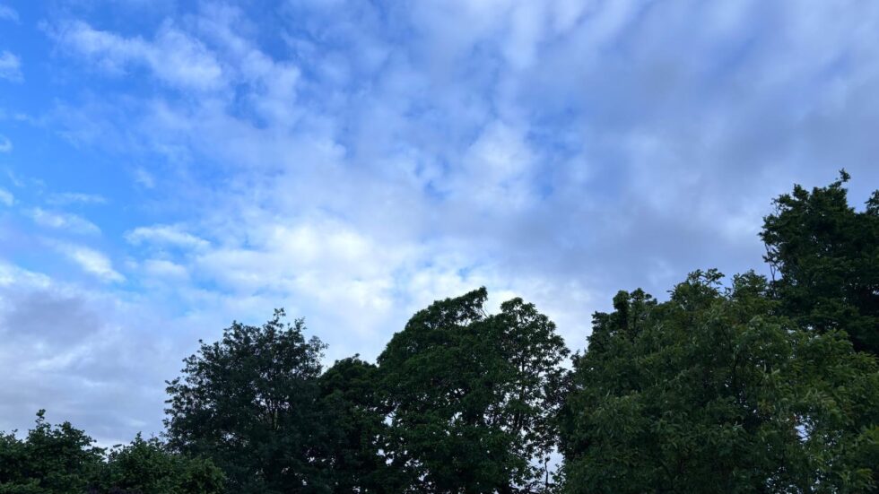 Weer