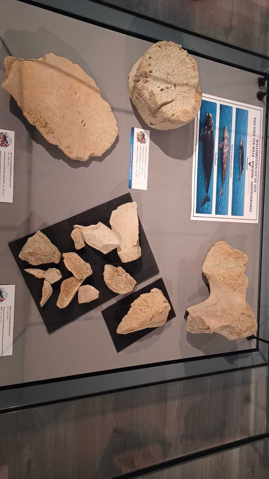 Expo ter duinen 4