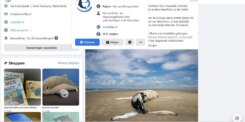 2022-07-06 00:00:00 - Bultrug voor onze kust dood aangespoeld op Waddeneiland