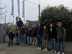 2023-02-13 00:00:00 - Roeselaarse Broederschool gooit hoge ogen op Vlaamse Wiskunde Olympiade