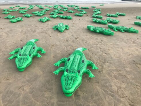 2018-06-15 00:00:00 - Kaaimannen bezetten strand van Bredene