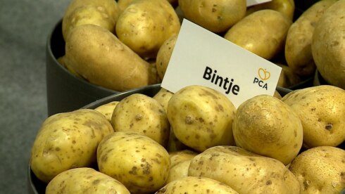 2018-11-26 00:00:00 - Aardappelsector buigt zich over problemen op Interpom