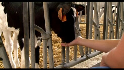 2017-12-08 00:00:00 - Landbouwsector moet beter communiceren