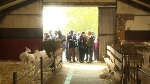 2019-09-06 00:00:00 - ’t Reigershof in Klemskerke ontvangt Nigeriaanse delegatie