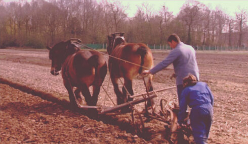 2018-04-13 00:00:00 - Retro: Jonge landbouwer met paard en kar
