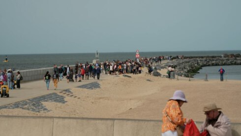 603 BB LINK Szomerweer