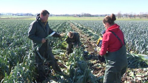 2020-03-22 00:00:00 - Land- en tuinbouwsector trekt aan alarmbel