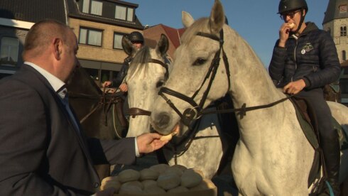 2018-10-21 00:00:00 - Paardenzegening in Torhout