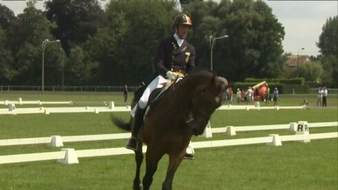 2018-08-05 00:00:00 - Geslaagd BK voor zesjarige paarden tijdens L’Equino
