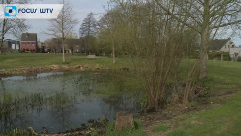 2021-04-18 00:00:00 - Brugge is de bijenvriendelijkste stad van Vlaanderen