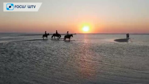 2022-08-13 00:00:00 - Extreem lage waterstanden aan zee