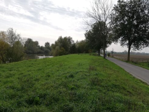 2019-10-23 00:00:00 - Bredere oevers van de Leie tussen Sint-Baafs-Vijve en Deinze