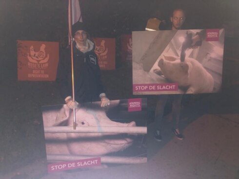 2019-11-18 00:00:00 - Animal Rights voert weer actie aan varkensslachthuis