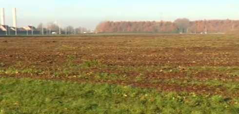 2019-12-03 00:00:00 - Appelbomen gerooid in Harelbeke